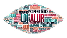 Loi Alur : Que faut-il transmettre aux acquéreurs ?