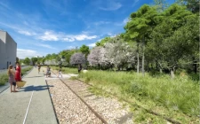 Une forêt urbaine pour 2024 !