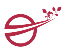 Noovimo Sud Ouest fait peau neuve