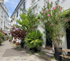 L'écologie à Paris 13 : Un atout majeur pour votre patrimoine immobilier