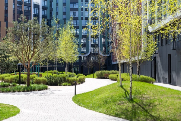 Profitez des derniers jours de la Loi Pinel