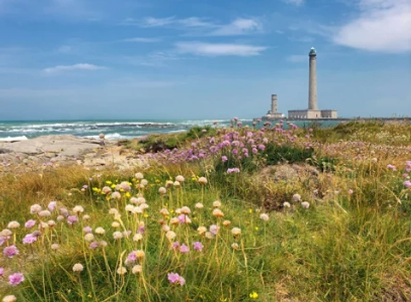 Le printemps est arrivé : C'est le moment idéal pour investir !