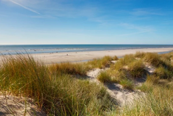 Il fait bon vivre en Normandie : un art de vivre entre mer, campagne et dynamisme urbain