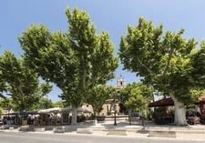 Pourquoi Maussane-les-Alpilles séduit de nouveaux habitants grâce à l’art de vivre provençal authentique et son cadre naturel