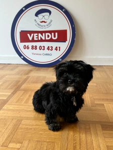 Présentation de ma nouvelle collaboratrice : Telma