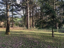Terrain à bâtir en drapeau - Environnement calme et boisé