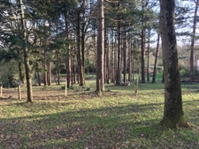 Terrain à bâtir en drapeau - Environnement calme et boisé
