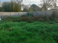 Terrain de loisirs proche de la côte