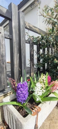 MAISON PLAIN PIED 2 CHAMBRES + UN BUREAU + COMBLE AMENAGEE