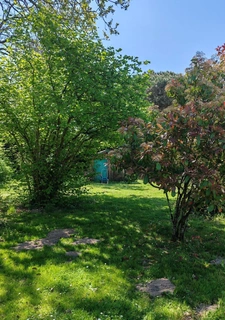 maison d'architecte de 140 m2 avec 4 chambres et terrain de 