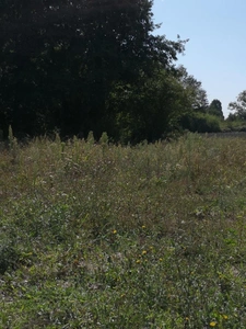 Terrain à bâtir Viabilisé