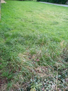 TERRAIN de  592 m2 à Scaer