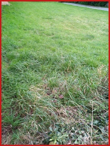 TERRAIN de  592 m2 à Scaer