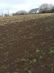 TERRAIN CONSTRUCTIBLE DE 467m2 PROCHE DU CENTRE BOURG.