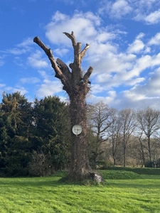 Manoir d'Exception à Le Rheu - Charme Historique et Opportun