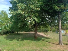 Construisez votre avenir sur 1 008 m2 de tranquillité   Lava