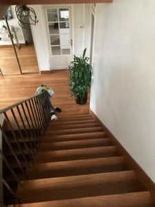 EXCLUSIVITE : Hyper Centre Ville Laval - Rive droite