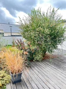 Maison récente à Azé