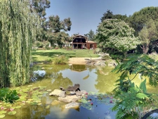 domaine avec maison + t2 + bureau + 1.5 hectare