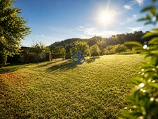 Maison familiale lumineuse des années 70 ? 102 m² habitables sur terrain plat de 2 482 m²