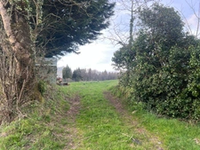 Maison à Rénover en Pleine Nature   Grand Potentiel avec Dép