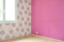 Maison Plain pied, de charme, non mitoyenne 