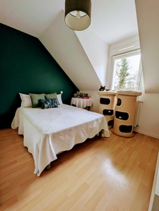 A saisir ! Maison contemporaine et chaleureuse à Ploeren   P