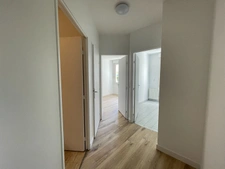 ISSY-LES-MOULINEAUX - Ile Saint Germain 9