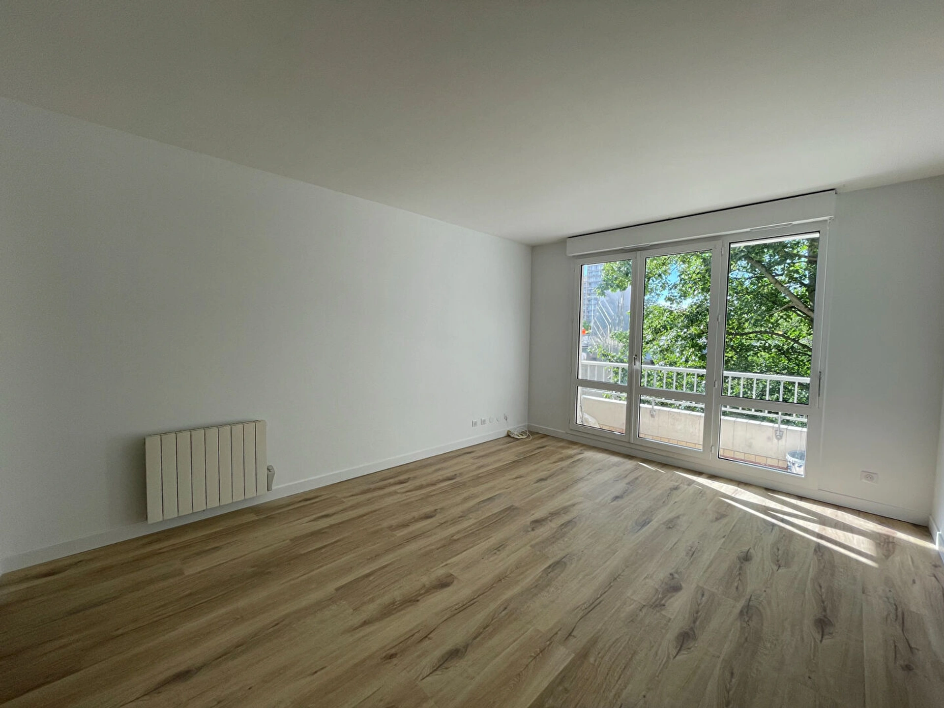 ISSY-LES-MOULINEAUX - Ile Saint Germain 1