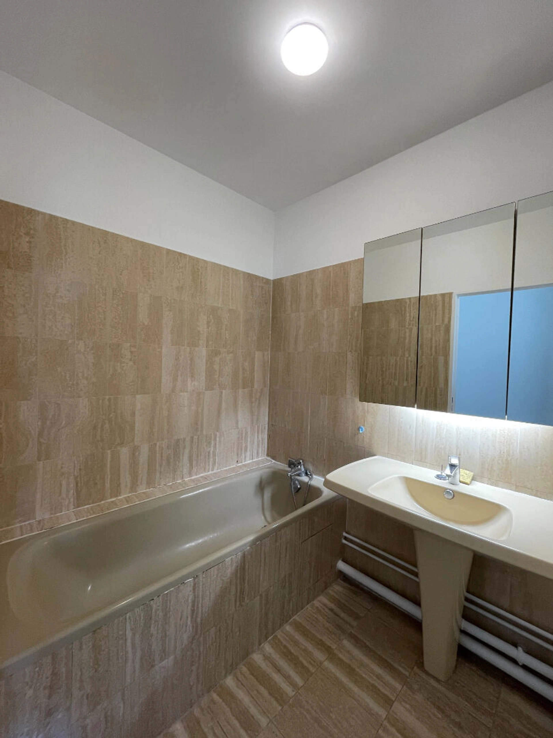 ISSY-LES-MOULINEAUX - Ile Saint Germain 8