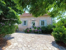 Vraiment magnifique maison. 1