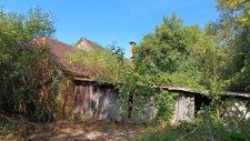 Petite périgourdine à restaurer sur 8 ha. 11