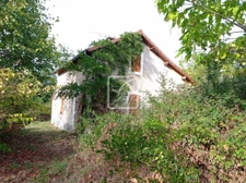 Cadre de campagne. Sans voisin. 2