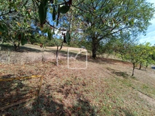 Avec sous sol et grand terrain. 2