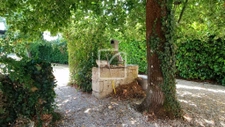 Vraiment magnifique maison. 21