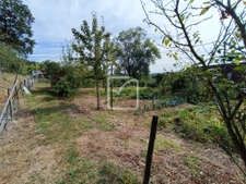 Avec sous sol et grand terrain. 18