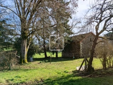 Périgourdine ancienne 4