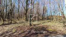 Terrain constructible. 1