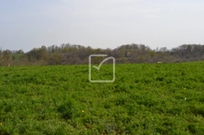 2 maisons et 27 hectares 10