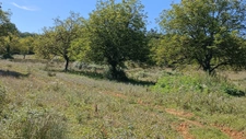 Petite périgourdine à restaurer sur 8 ha. 8