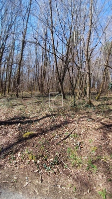 Terrain constructible. 2