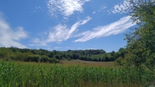 Petite périgourdine à restaurer sur 8 ha. 7