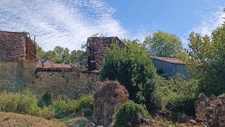 Petite périgourdine à restaurer sur 8 ha. 12