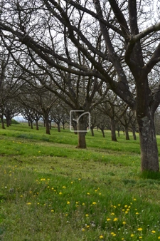 2 maisons et 27 hectares 6