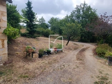 charmante maison en pierres avec 1ha5. 19