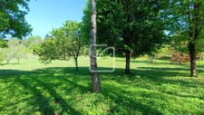  En lien direct avec la nature. 7