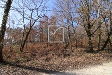 NOUVEAUTE : Terrain 2 000 m2 pour bâtir 2