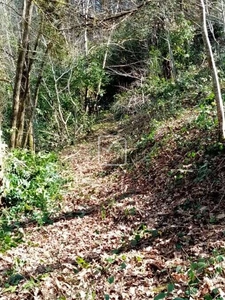 TERRAIN A VENDRE SUR LES HAUTEURS DE TULLE 3