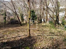 TERRAIN A VENDRE SUR LES HAUTEURS DE TULLE 2