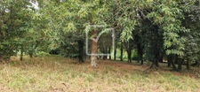 COUP DE COEUR A TREMEOC - LONGERE 150M2 - 2 HABITATIONS SUR  14